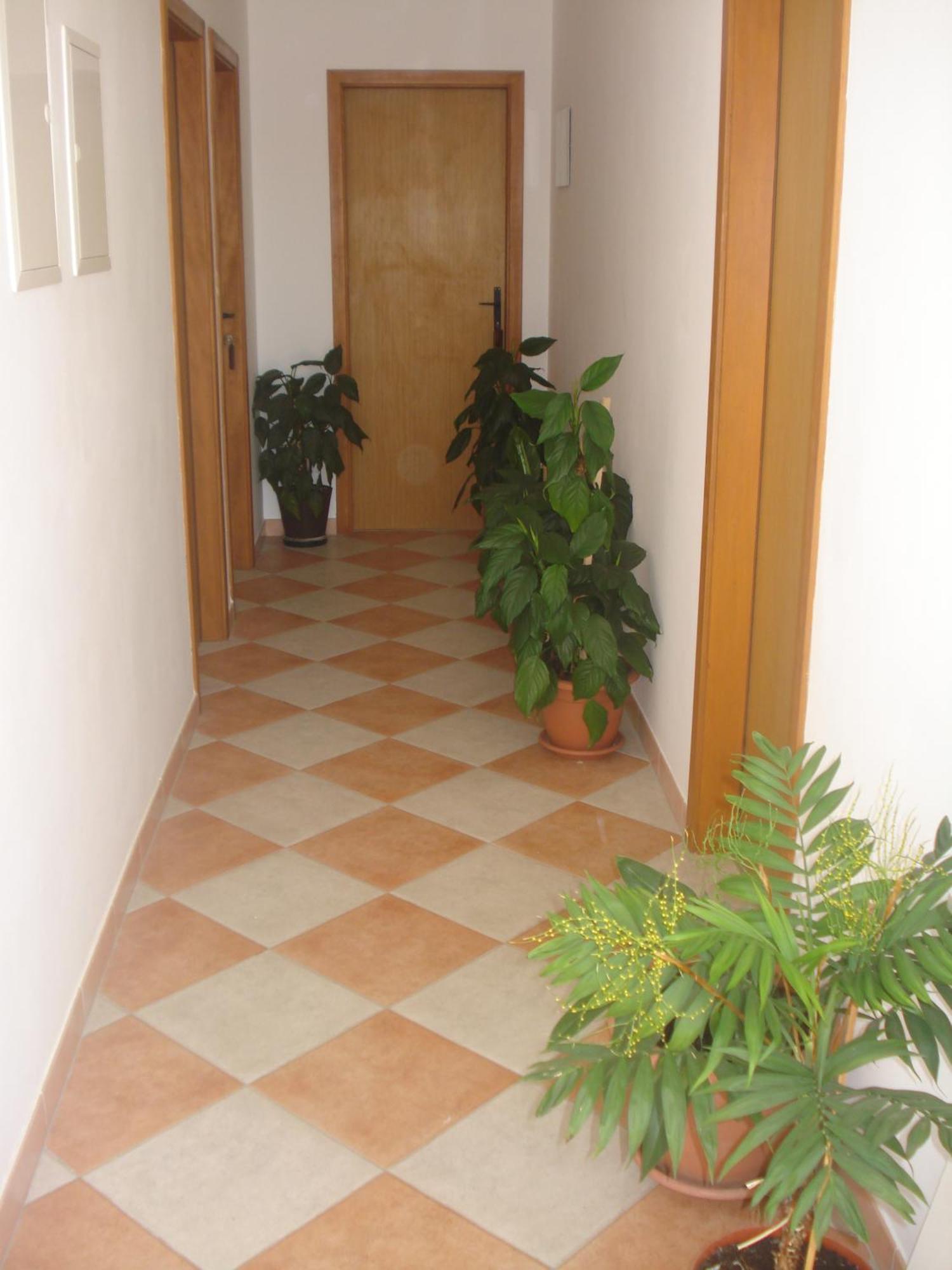 Apartments San Giorgio Sućuraj Eksteriør bilde